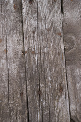 Old wooden texured surface closeup. Moss and relief on surface. Stock photo of old wooden pattern of aged boards with moss. Brown and gray colors on photo.