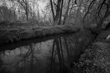 River in Chernobyl