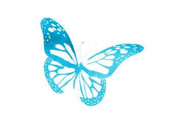 Color watercolor abstract butterfly , isolated on white background