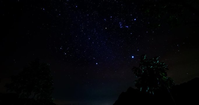 Beautiful night sky Time lapse, Milky Way, star trails and the trees