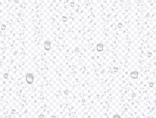 Water rain drops or steam shower isolated on transparent background. Vector pure droplets on window glass surface pattern