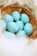 Blue chocolate easter eggs in nest  with copy space Selective focus