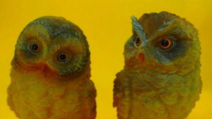 Búhos y lechuzas de escayola, en distintas actitudes de observación. Distintos gestos, observación, alegría tristeza sorpresa.