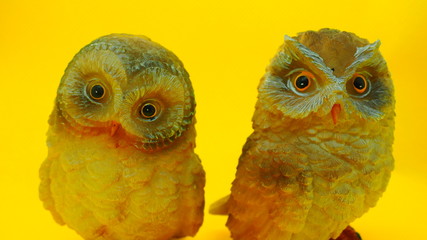 Búhos y lechuzas de escayola, en distintas actitudes de observación. Distintos gestos, observación, alegría tristeza sorpresa.