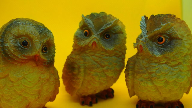 B&uacute;hos y lechuzas de escayola, en distintas actitudes de observaci&oacute;n. Distintos gestos, observaci&oacute;n, alegr&iacute;a tristeza sorpresa.
