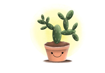 Bunny Cactus