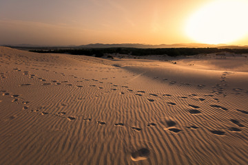 Dunes beach