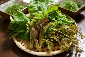 雪国で愛される春の恵み、山菜を竹ざるに盛り込んで