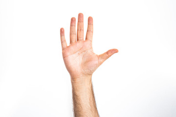 hand gesture of a male showing five fingers hi five
