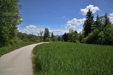 Fototapeta na wymiar Straße im Bayerischen Alpenvorland 