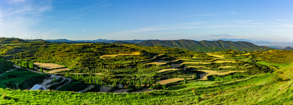 Blick über Weinberge in Navarra