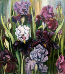 Blooming irises in the garden. Oil painting.
