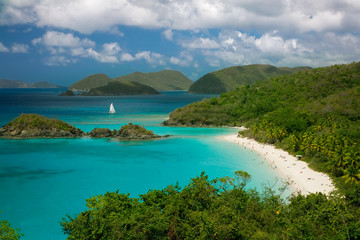 Trunk Bay Beach in the Virgin Islands National Park on the caribbean island of St John in the US Virgin Islands