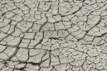 dry cracked earth dried by the sun