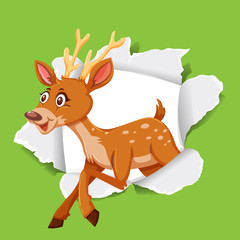 Background template design with wild deer on green paper