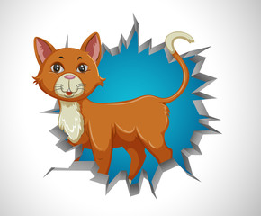 Cute cat coming out of cracked wall