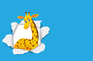 Background template design with wild giraffe on blue paper