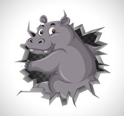 Cute hippo coming out of cracked wall
