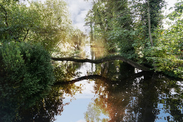 landscape with a pond