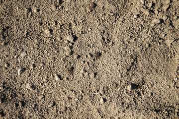 Background texture dirt soil closeup