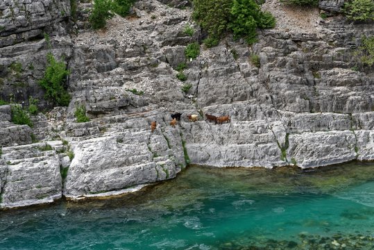 Albanien - Albanische Alpen - Fluss Cijevna