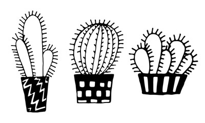 cacti are black white and color. can be used to print postcards. vector illustration.