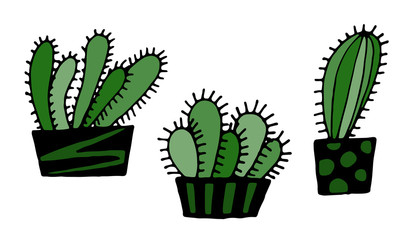 cacti are black white and color. can be used to print postcards. vector illustration.