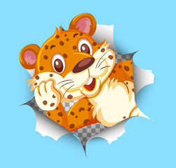 Cute tiger coming out of cracked wall