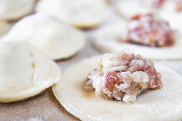 The process of making homemade dumplings. Minced meat on the dough, the process of making homemade dumplings.