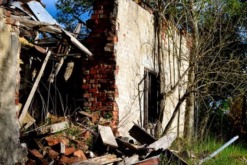 Nature takes back an old wall