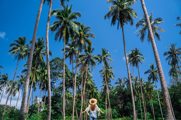 Beautiful girl against the background of a tropical forest of tall coconut trees and blue sky. A girl in a round straw hat walks in the rainforest on the island of Koh Samui . The girl photographed