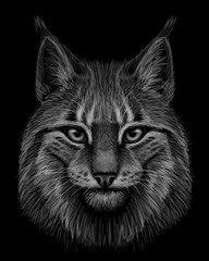 Lynx. Graphic, drawn, monochrome portrait of a lynx head on a black background.
