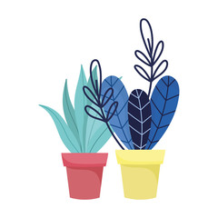Isolated plants inside pots vector design
