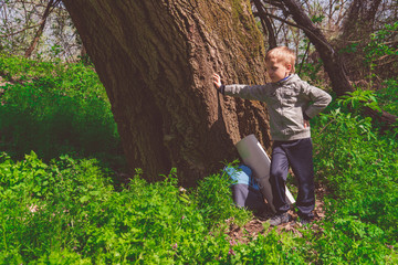 Naklejka na ściany i meble Solo traveller - young boy hiker in spring forest, standing, leaning on the trunk of a huge tree and looking into the distance