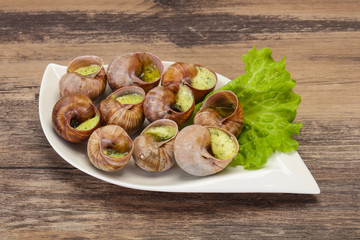 French cuisine - Escargot with sauce