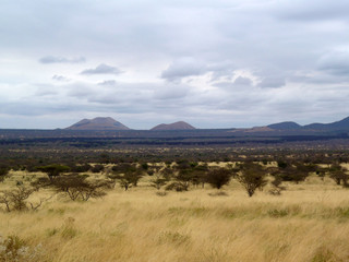 panorama della savana africana