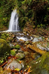 Fototapeta na wymiar autumn waterfall