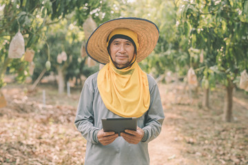 Asian farmer stands in a mango grove and works through a tablet computer. The concept of agribusiness
