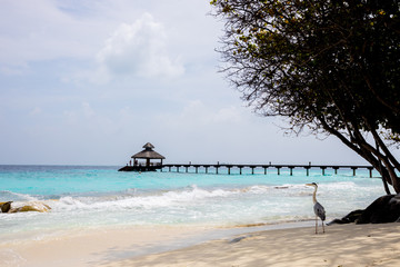 Wooden long bridge in beautiful loneliness beach ocean. Adventure lifestyle travel.