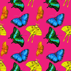 Color tropical butterflies. Animal summer seamless pattern design for wallpaper, paper, packaging, textile, fabric.