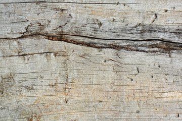 wooden background and old wood texture