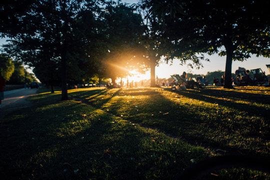 Sunlight Through Trees At Hyde Park During Sunset