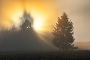 Fototapeta na wymiar autumn dawn. the sun's rays make their way through the trees