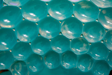 egg in glass bowl blue background