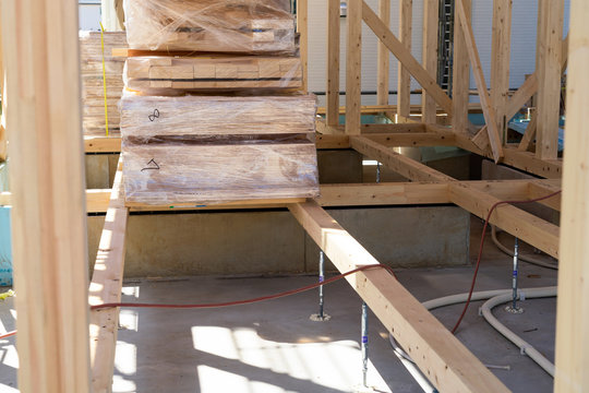 「テンジクダイ」の画像 132 件の Stock 写真、ベクターおよびビデオ Adobe Stock