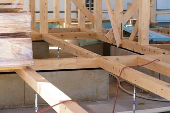 「テンジクダイ」の画像 132 件の Stock 写真、ベクターおよびビデオ Adobe Stock