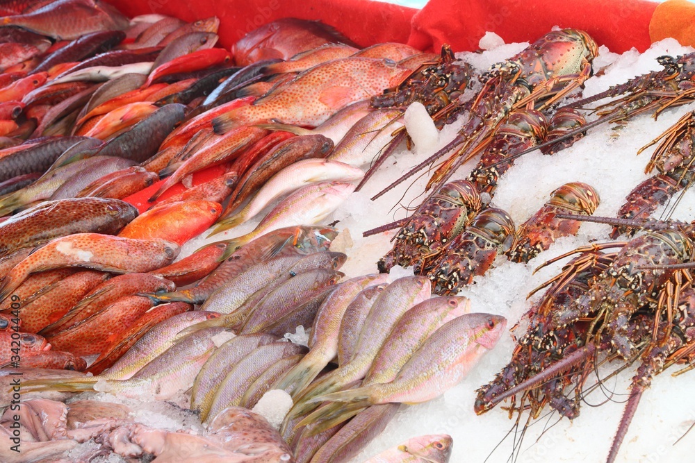 Canvas Prints fish market in the caribbean