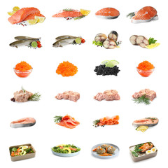 Set of different seafood on white background. Fish delicacy