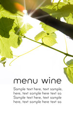 Menu wine design - isolated text