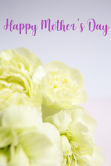 Green yellow carnations on a white lilac background. Place for the text. Mothers Day. Greeting card. Wedding day. Valentine's Day